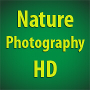 NaturePhotographyHD.com Logo