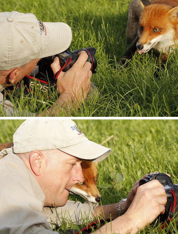 15a-Animals-That-Want-To-Be-Photographers