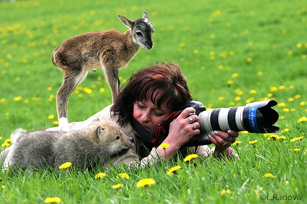 15b-Animals-That-Want-To-Be-Photographers
