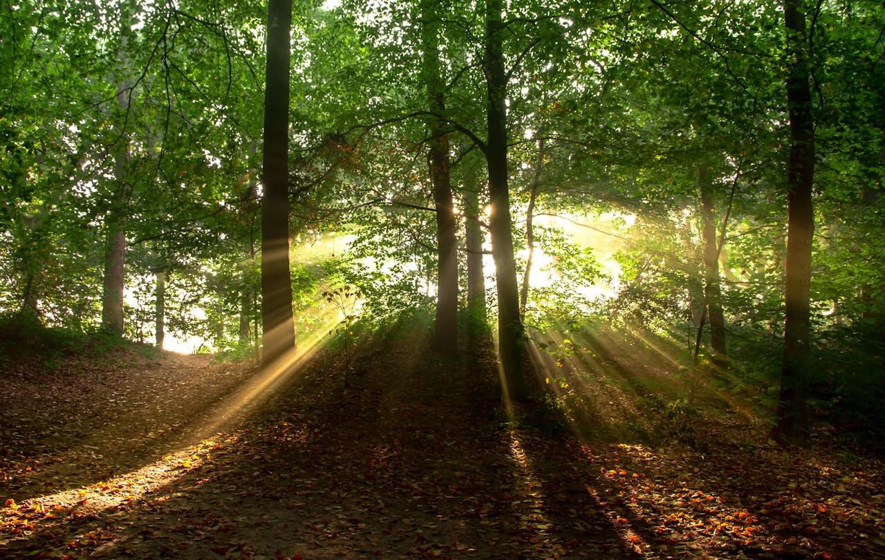 Mastering Natural Light in Photography- Golden Hour, Blue Hour & Weather Effects - F