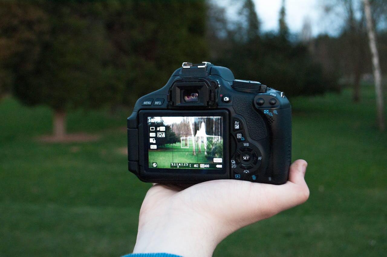 The Best Camera Settings for Landscapes, Forests, and Mountains - F
