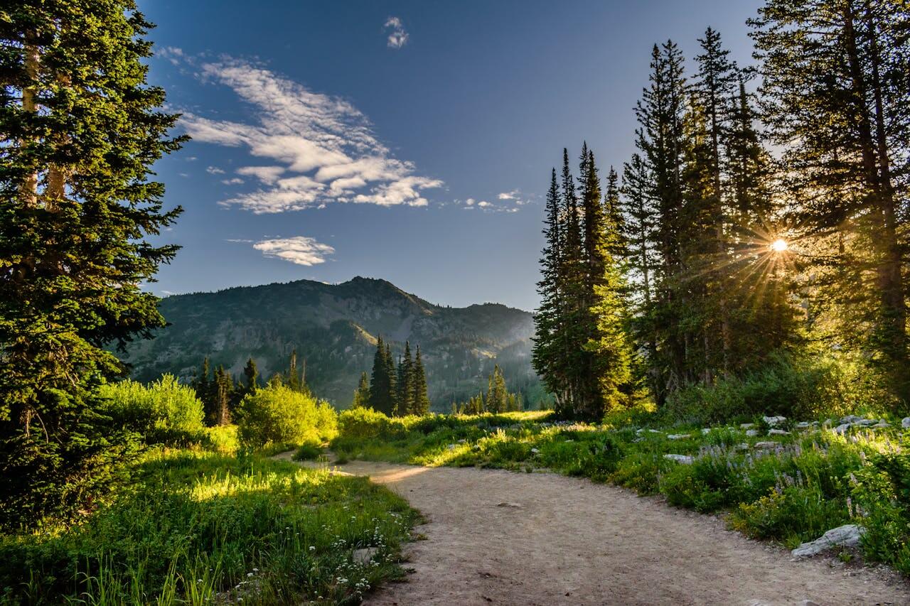 Best Nature Photography Resources- Trusted Tools, Gear & Learning Guides - F