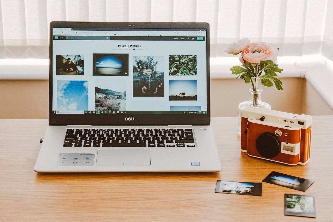 Editing Nature Photos Like a Pro- Free and Paid Tools - F